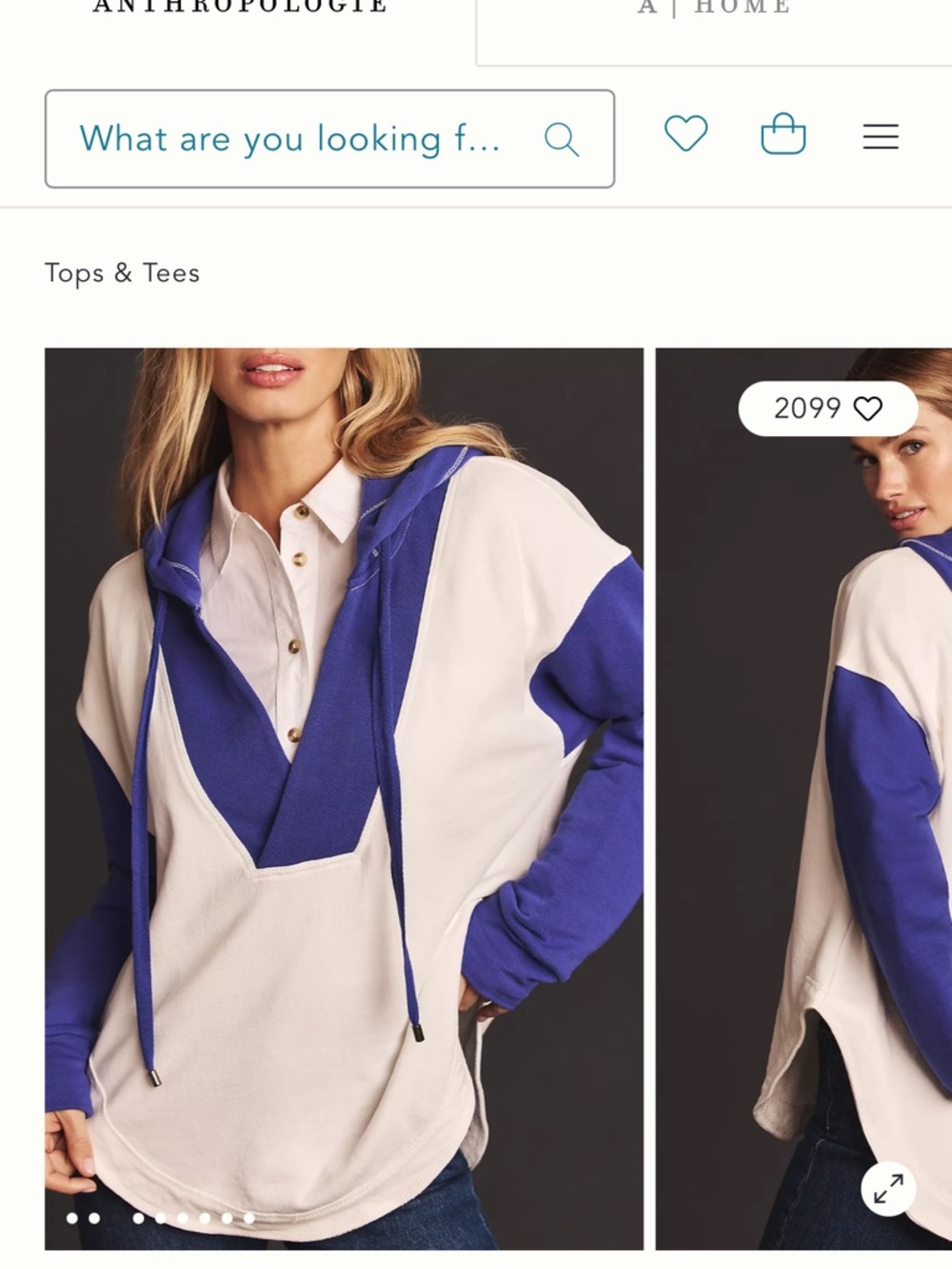 NWT-Pilcro Anthropologie Two-Tone Hoodie